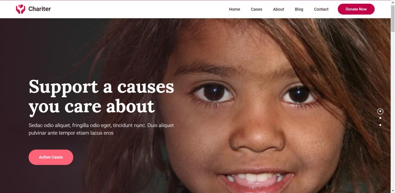 Charity NGO HTML Template - ICRM Software